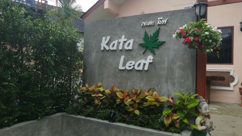 KATA LEAF RESORT 3*